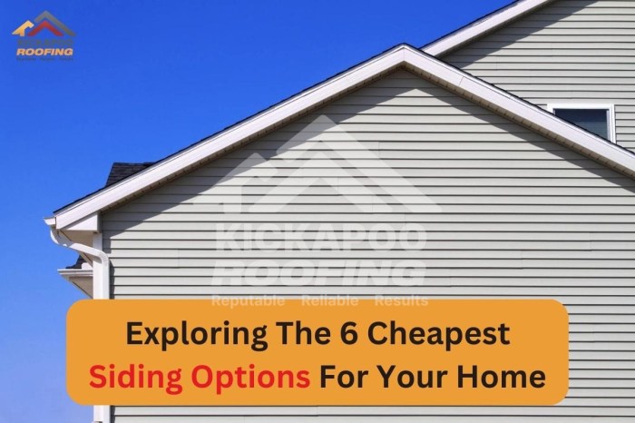 Exploring The 6 Cheapest Siding Options For Your Home